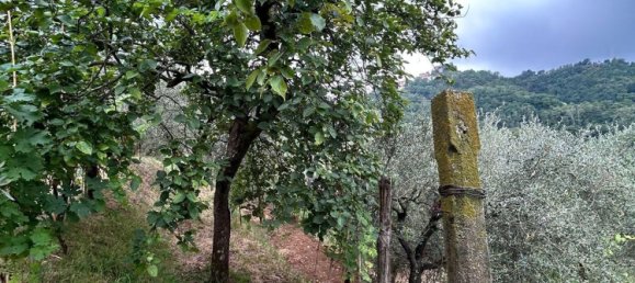 5000m² Land in Arcola, Italy No. 119597 6