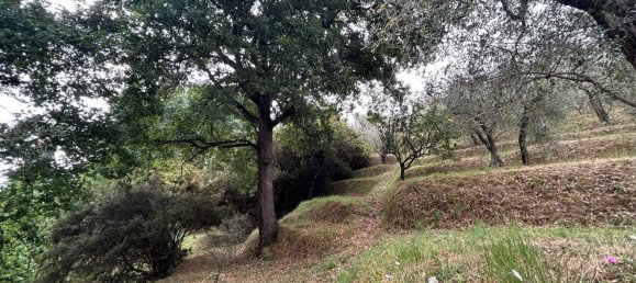 5000m² Land in Arcola, Italy No. 119597 3