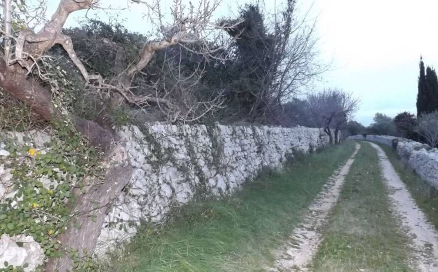 Terreno em Putignano, Italy 2444 m² N.º 355796