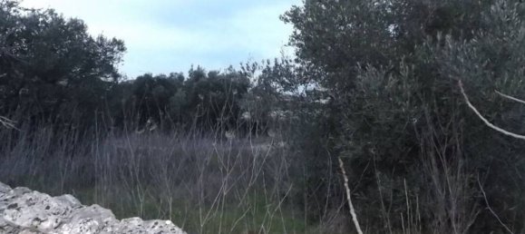 Terreno em Putignano, Italy 2444 m² N.º 355796 10