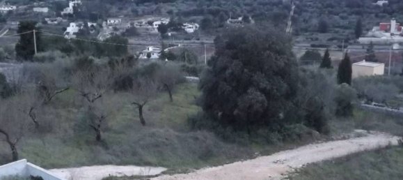 Terreno em Putignano, Italy 2444 m² N.º 355796 8