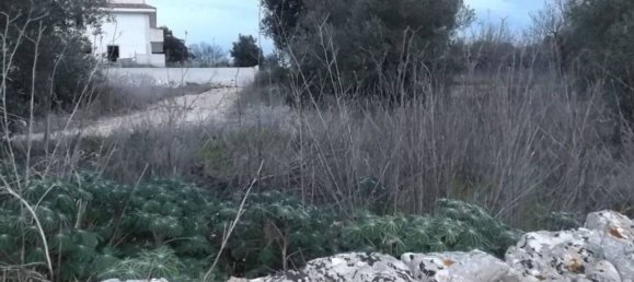 Terreno em Putignano, Italy 2444 m² N.º 355796 9