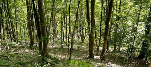 Terrain à Gottingen, Germany No. 275241 8