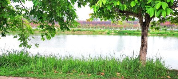  Commercial property in Pattaya, Thailand No. 23032 7