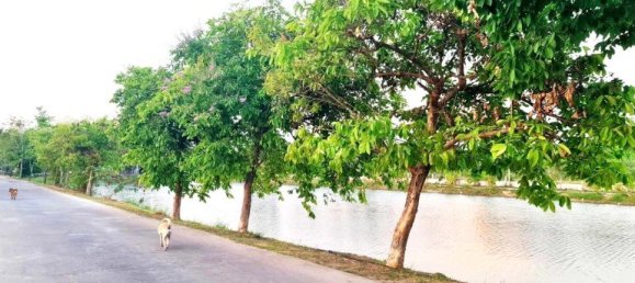  Commercial property in Pattaya, Thailand No. 23032 6