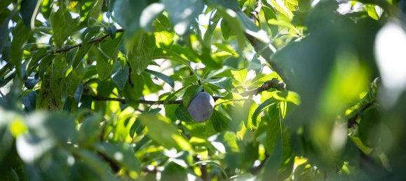 4 bedrooms House in Dachau, Germany No. 370535 11