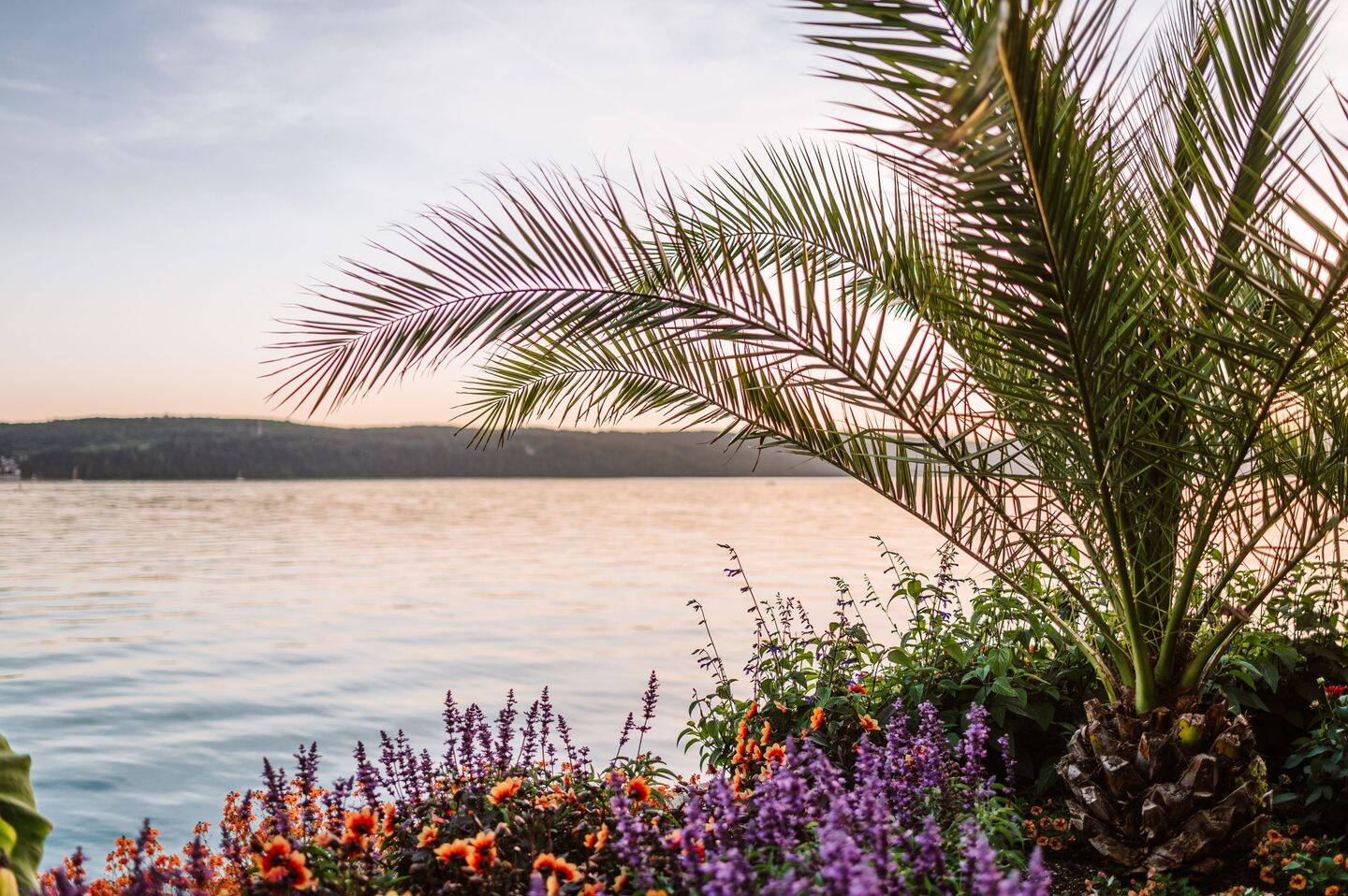 2 Schlafzimmer Wohnung in Bodenseekreis, Germany, Nr. 334143
