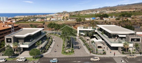 Grundstück in Adeje, Spain 5000m², Nr. 113432 7