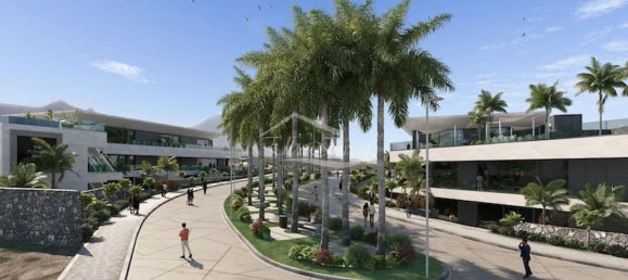 Grundstück in Adeje, Spain 5000m², Nr. 113432 10