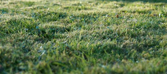 Terrain à Grunau, Germany No. 337050 4