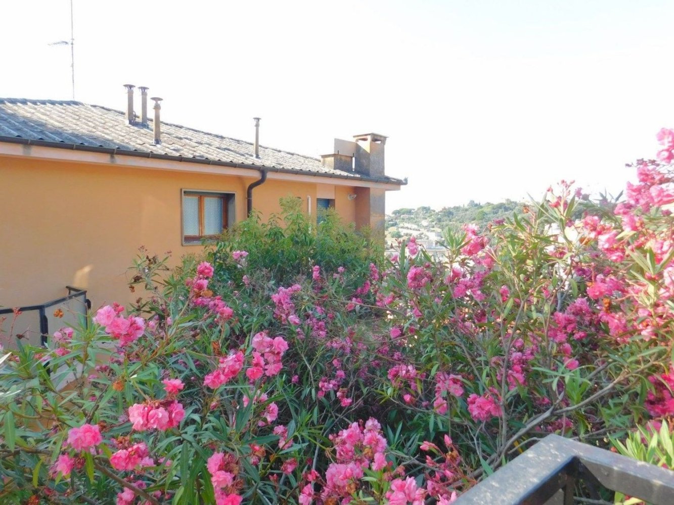 3-Zimmer Wohnung in Varazze, Italy, Nr. 181870