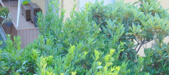 3-Zimmer Wohnung in Varazze, Italy, Nr. 181870 32