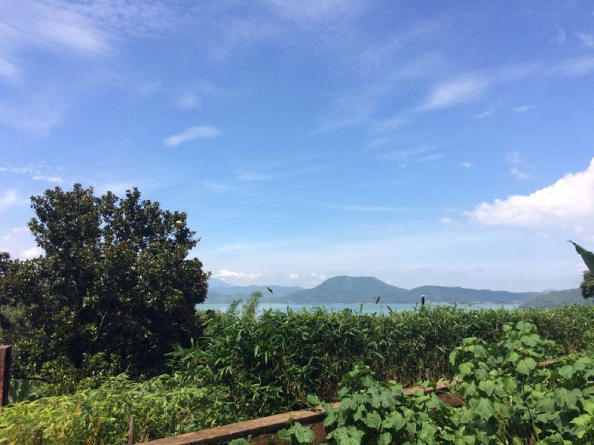 Terreno en Heroica Matamoros, Mexico No. 205767