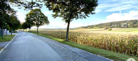 5 rooms Villa in Hagenbrunn, Austria No. 236879 4