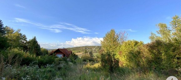 5 rooms Villa in Hagenbrunn, Austria No. 236879 6