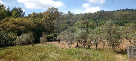 3 bedrooms House in Macas de Dona Maria, Portugal No. 25304 14