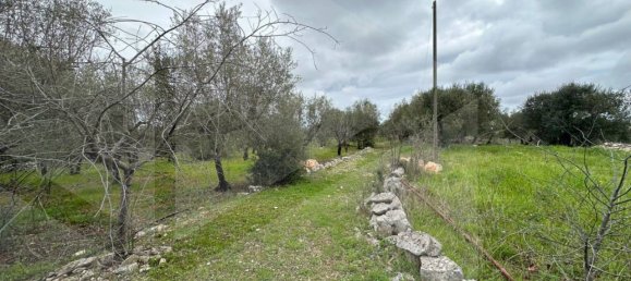 4 bedrooms House in Monopoli, Italy No. 30766 17