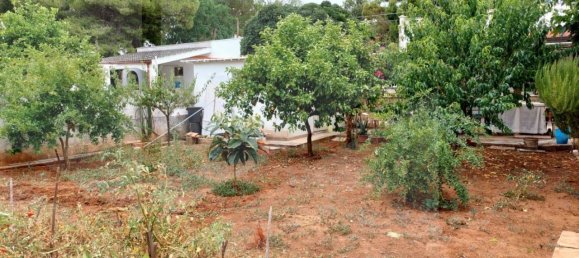 7غرفة فيلا في Avetrana, Italy رقم 354678 8