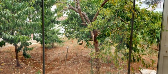 7غرفة فيلا في Avetrana, Italy رقم 354678 16