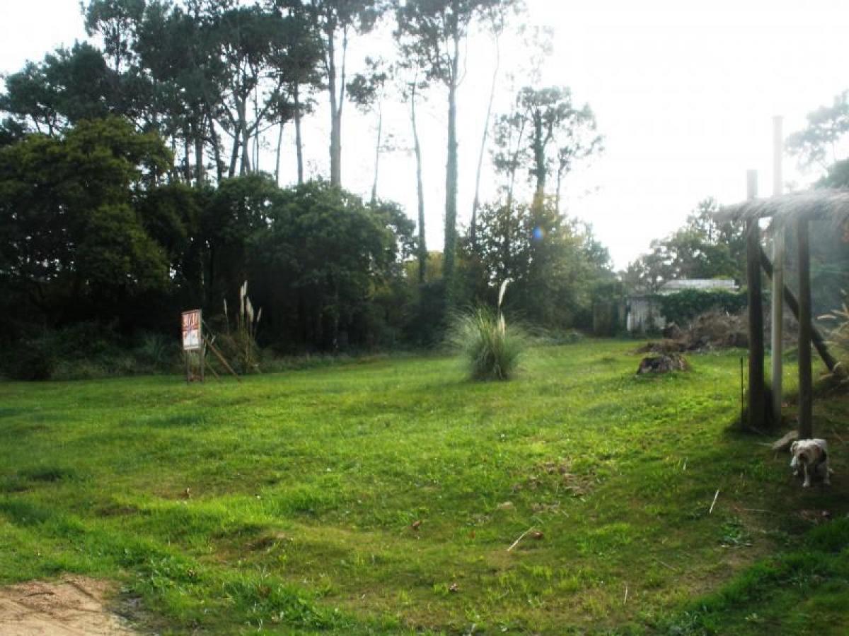  قطعة أرض في Maldonado, Uruguay رقم 15792