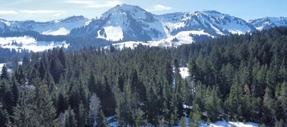 Дом с 5 комнатами в Эгг, Австрия № 140964 31