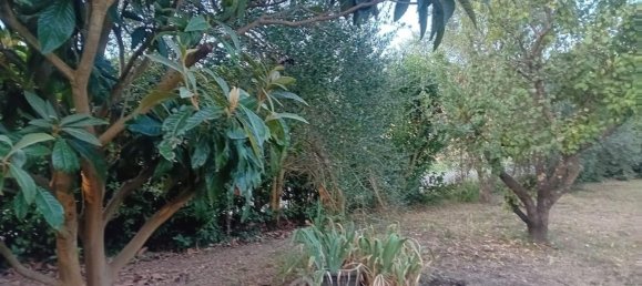 5 bedrooms Duplex in Capannori, Italy No. 380228 26