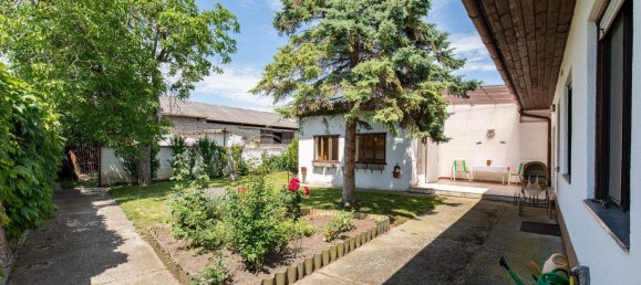 Casa de 6 habitaciónes en Apetlon, Austria No. 81331 2