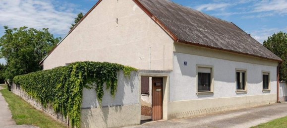 Casa de 6 habitaciónes en Apetlon, Austria No. 81331 4