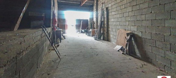 Casa de 6 habitaciónes en Apetlon, Austria No. 81331 17