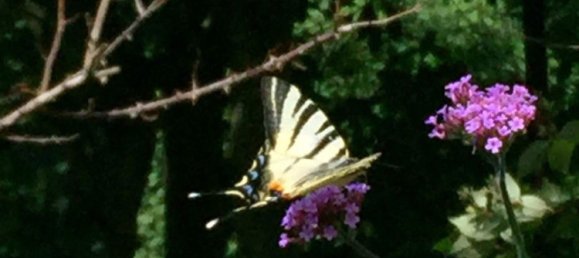 6-salle Maison à Mariatrost, Austria No. 235042 31