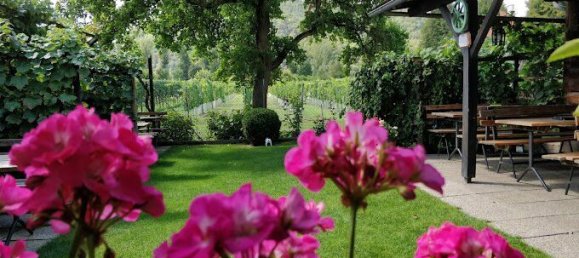 885m² Hotel in Durnstein, Austria No. 228445 8