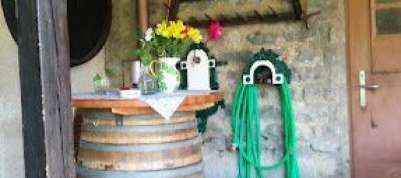 885m² Hotel in Durnstein, Austria No. 228445 10