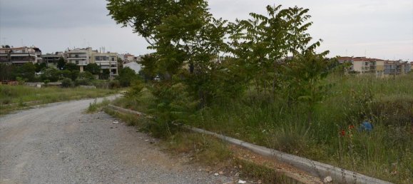 4960m² Hotel in Polichni, Greece No. 4944 5