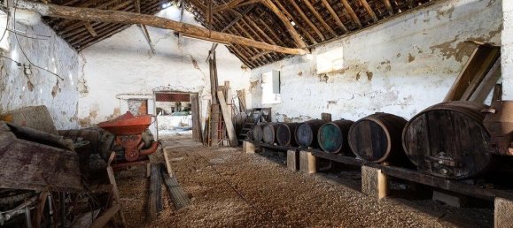 7 bedrooms Castles in Sobral de Monte Agraco, Portugal No. 289761 7