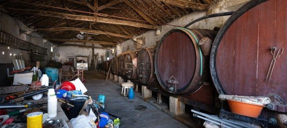 7 bedrooms Castles in Sobral de Monte Agraco, Portugal No. 289761 8