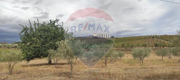 Grundstück in Sao Joao da Pesqueira, Portugal 7840m², Nr. 72262 12