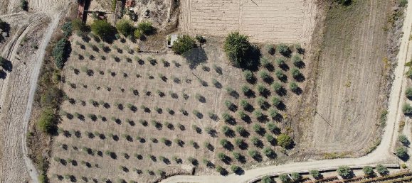 Grundstück in Sao Joao da Pesqueira, Portugal 7840m², Nr. 72262 2