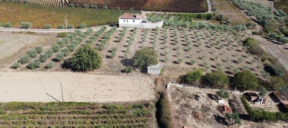 Grundstück in Sao Joao da Pesqueira, Portugal 7840m², Nr. 72262 7