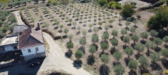 Grundstück in Sao Joao da Pesqueira, Portugal 7840m², Nr. 72262 4