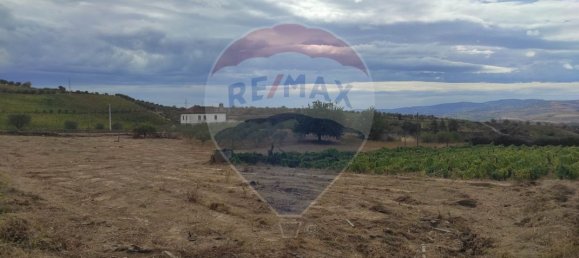 Grundstück in Sao Joao da Pesqueira, Portugal 7840m², Nr. 72262 9