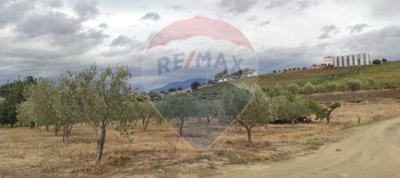 Grundstück in Sao Joao da Pesqueira, Portugal 7840m², Nr. 72262 10