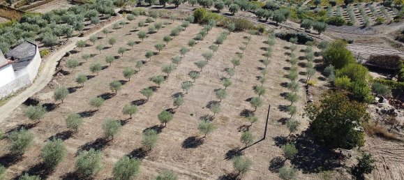 Grundstück in Sao Joao da Pesqueira, Portugal 7840m², Nr. 72262 3