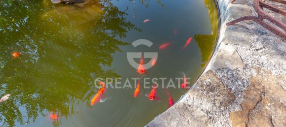 15غرفة منزل في San Venanzo, Italy رقم 238564 20