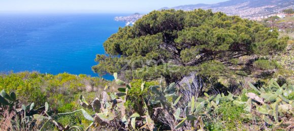Terreno em Funchal, Portugal 1600 m² N.º 145062 3