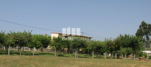 Дом с 4 спальнями в Сейшаш, Португалия № 54548 18