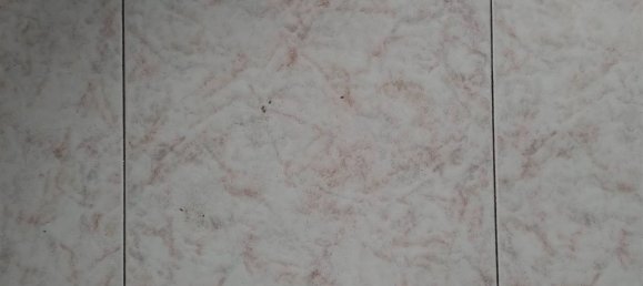 3 rooms Apartment in Livorno, Italy No. 161291 30