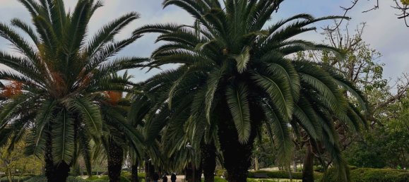 Apartamento de 1 dormitorio en Benalmádena, Spain No. 21877 12