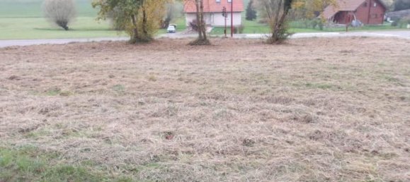 Terreno en Diemeringen, France 2297 m² No. 213238 3
