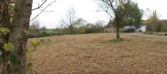 Terreno en Diemeringen, France 2297 m² No. 213238 5