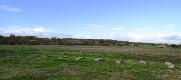 Studio in L'Isle-Jourdain, France No. 202779 3